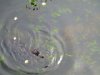 IMG 6147