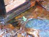 IMG 6151