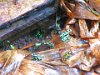 IMG 6153
