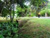 IMG 6168