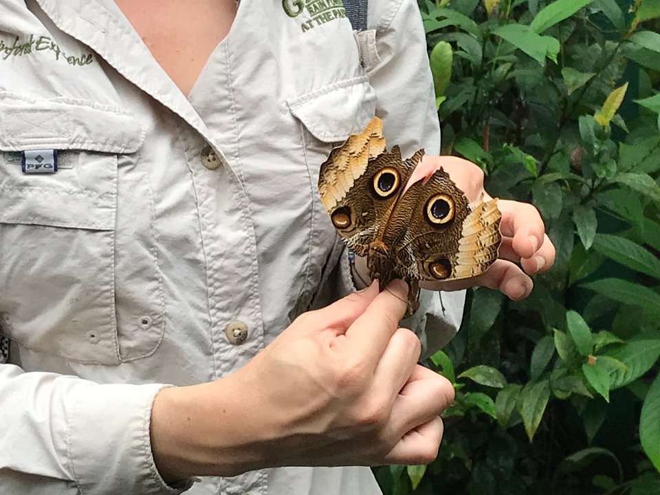 Photo Nov 09, 1 45 19 PM