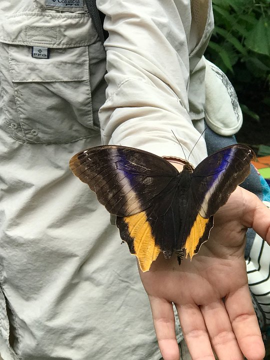 Photo Nov 09, 12 47 09 PM