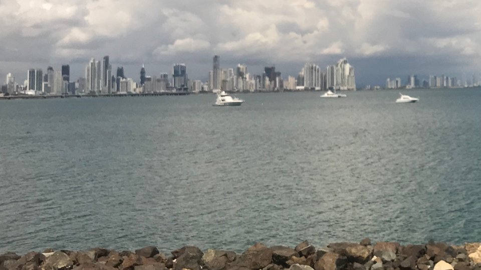 Photo Nov 11, 11 32 32 AM