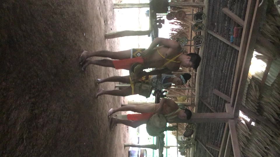 Video Nov 09, 8 59 51 AM
