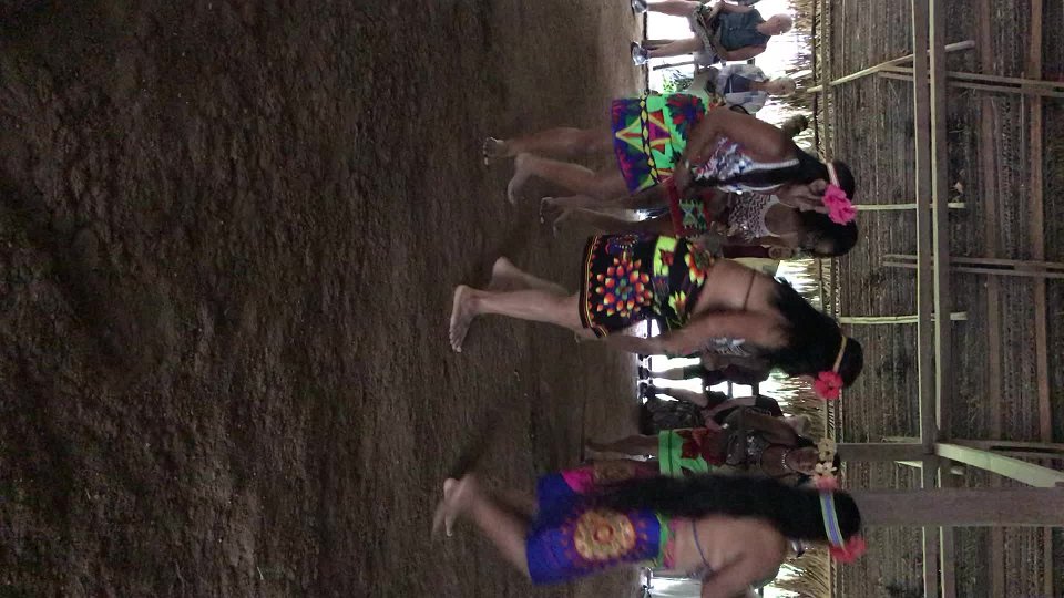 Video Nov 09, 9 55 22 AM