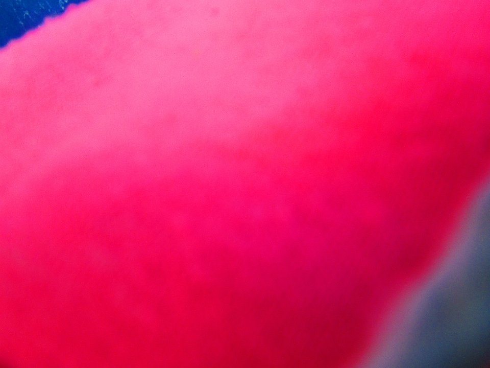 IMG 1742