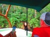 IMG 1690