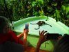 IMG 1712