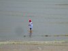 IMG 1780