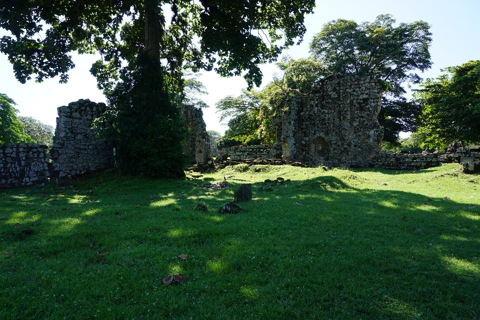 DSC04870