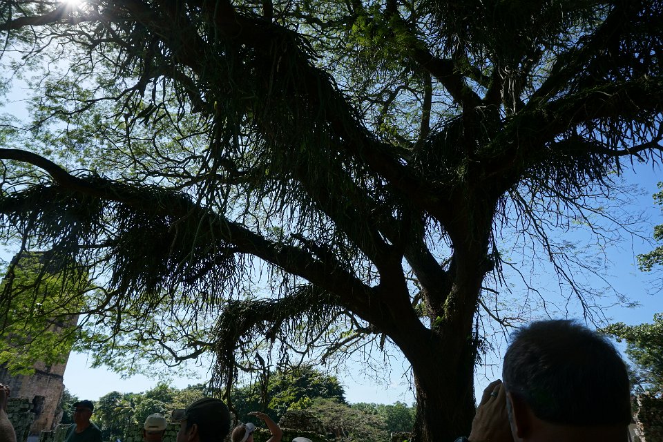 DSC04877