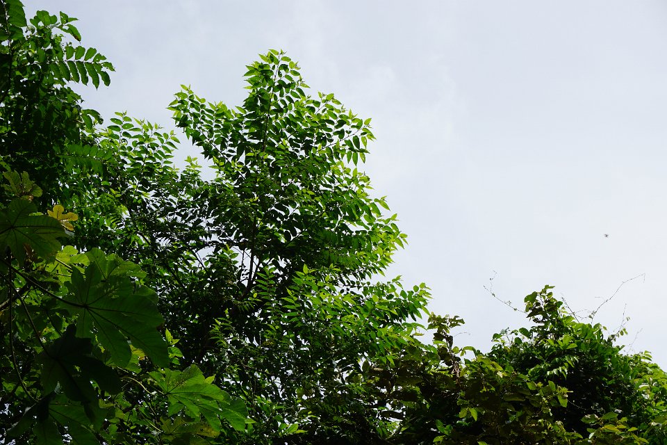 DSC05140