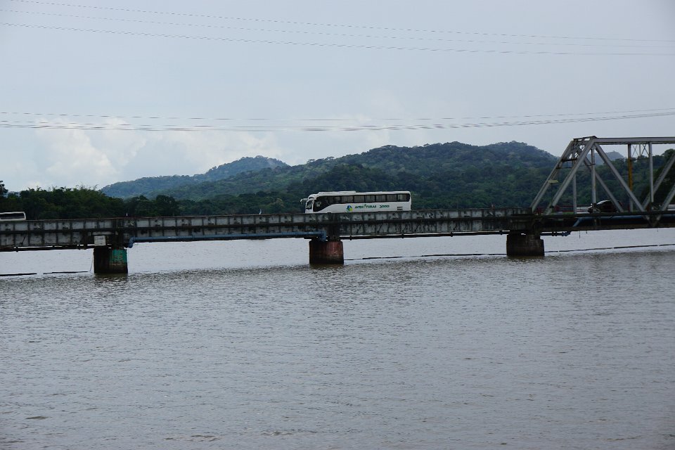 DSC05230