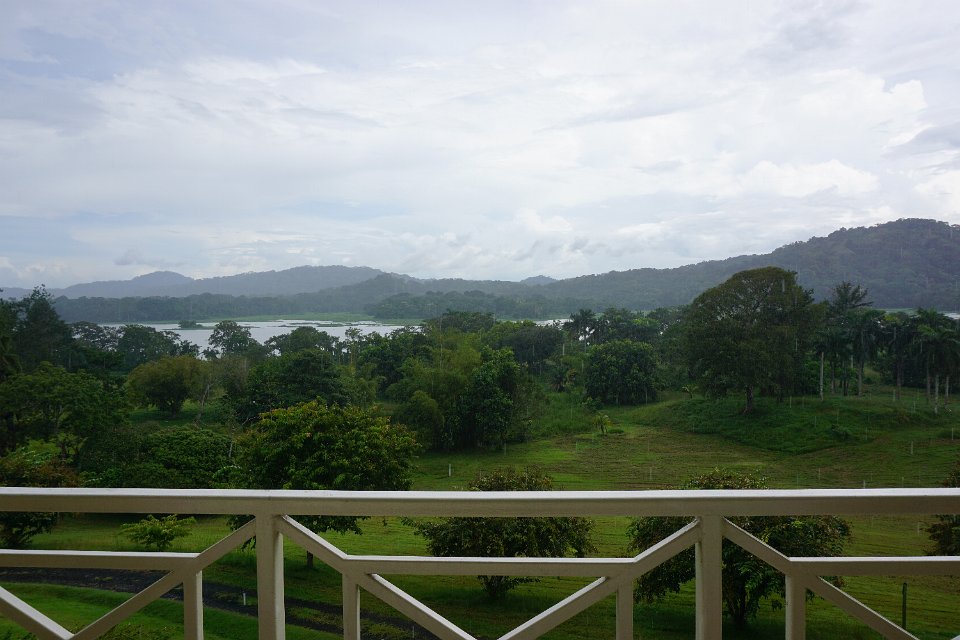 DSC05241