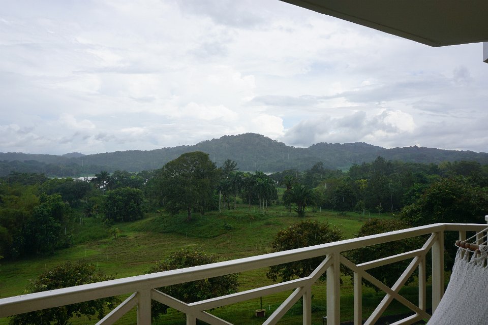 DSC05242