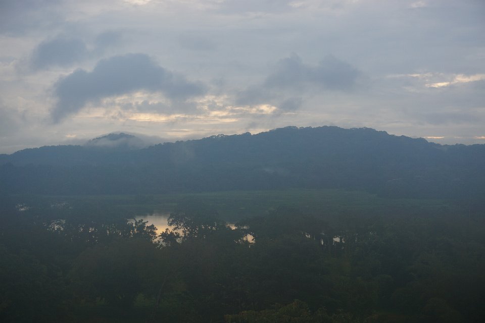 DSC05252