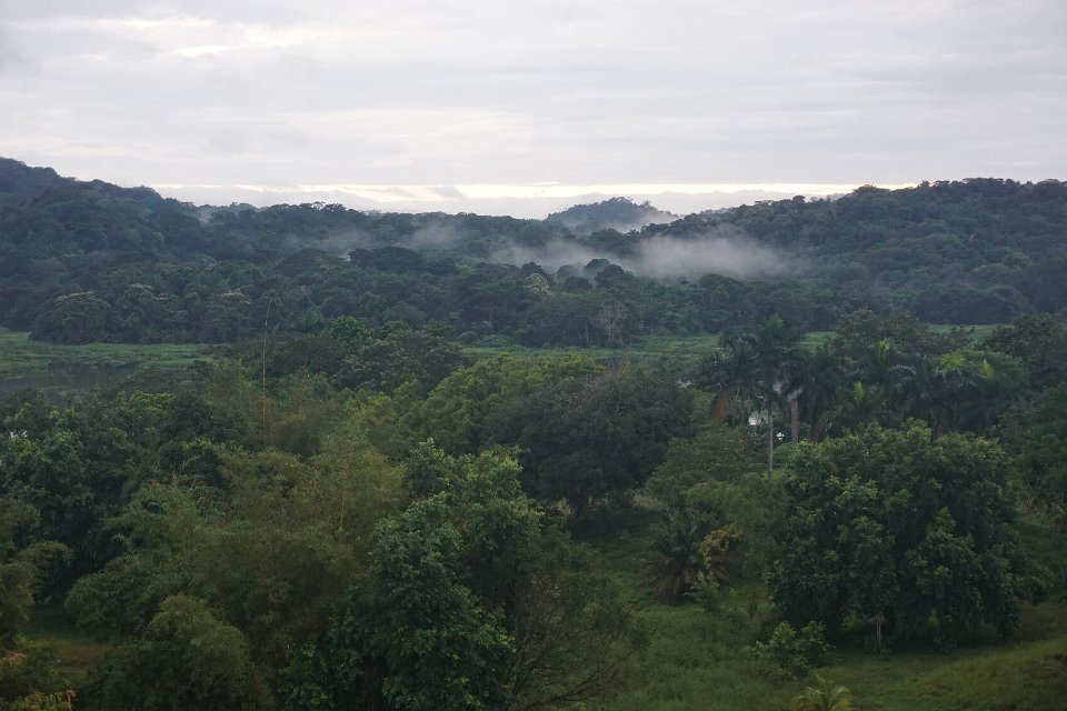 DSC05256