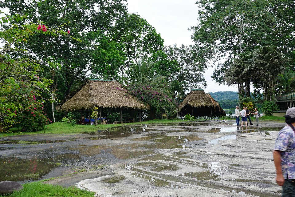 DSC05260