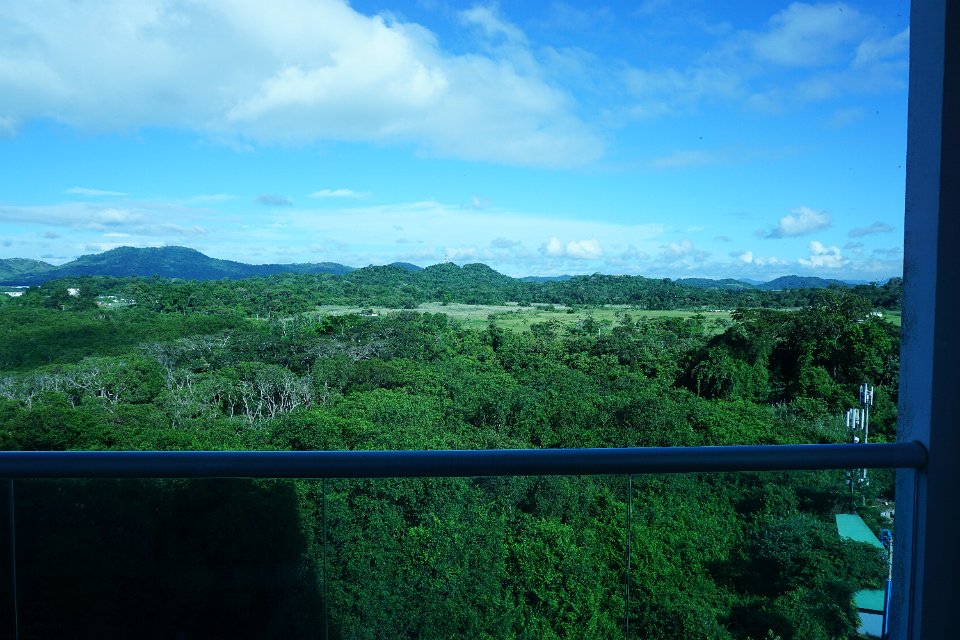 DSC05321