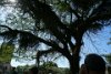 DSC04877
