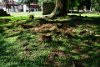 DSC04880