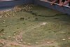 DSC04903
