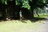 DSC04912