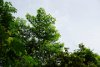 DSC05140