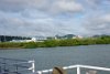DSC05168