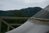 DSC05258