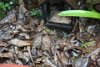 DSC05263