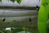 DSC05274