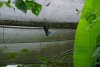 DSC05275