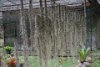 DSC05288