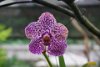 DSC05290