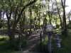 July 2014 - wooden bridge